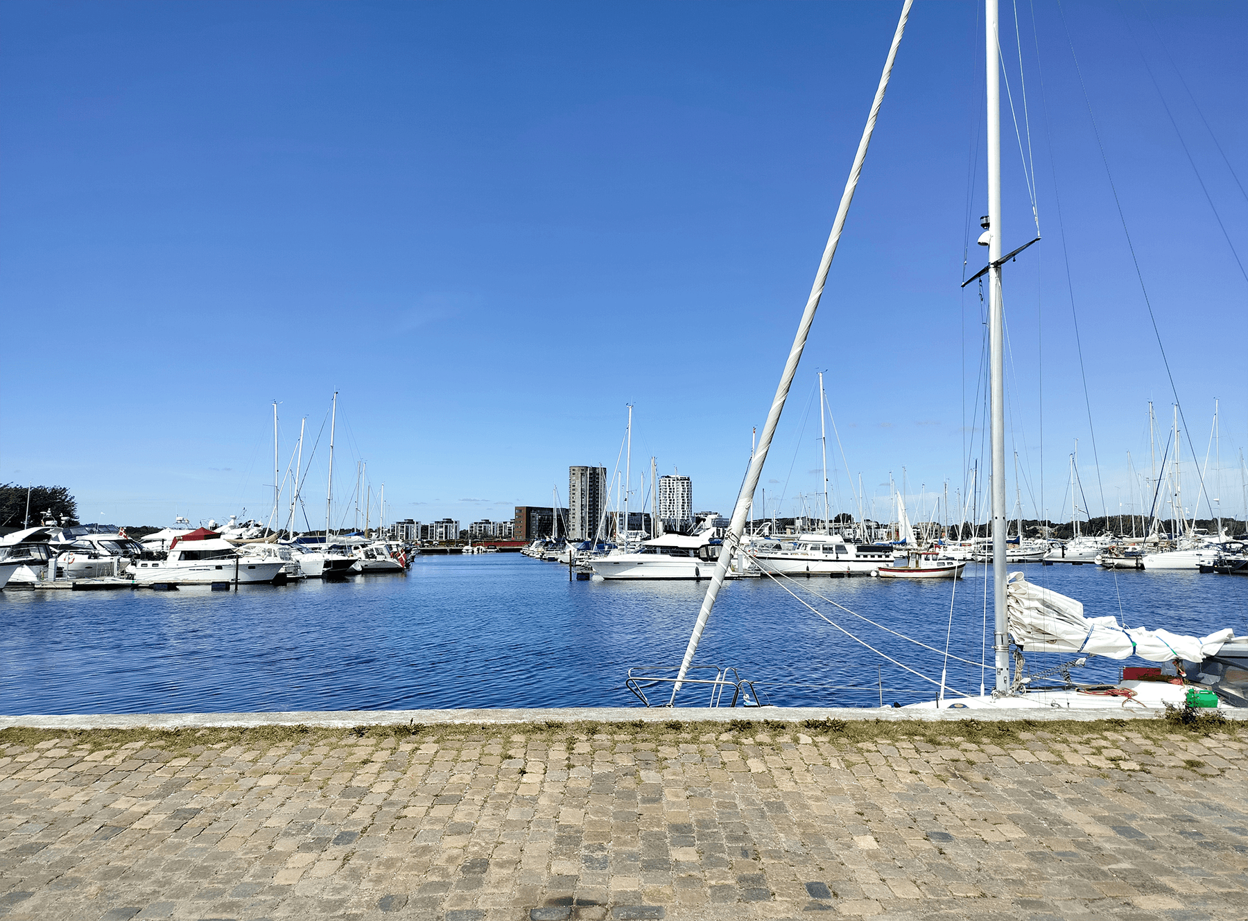 Lejeboliger i Vestbyen i Aalborg
